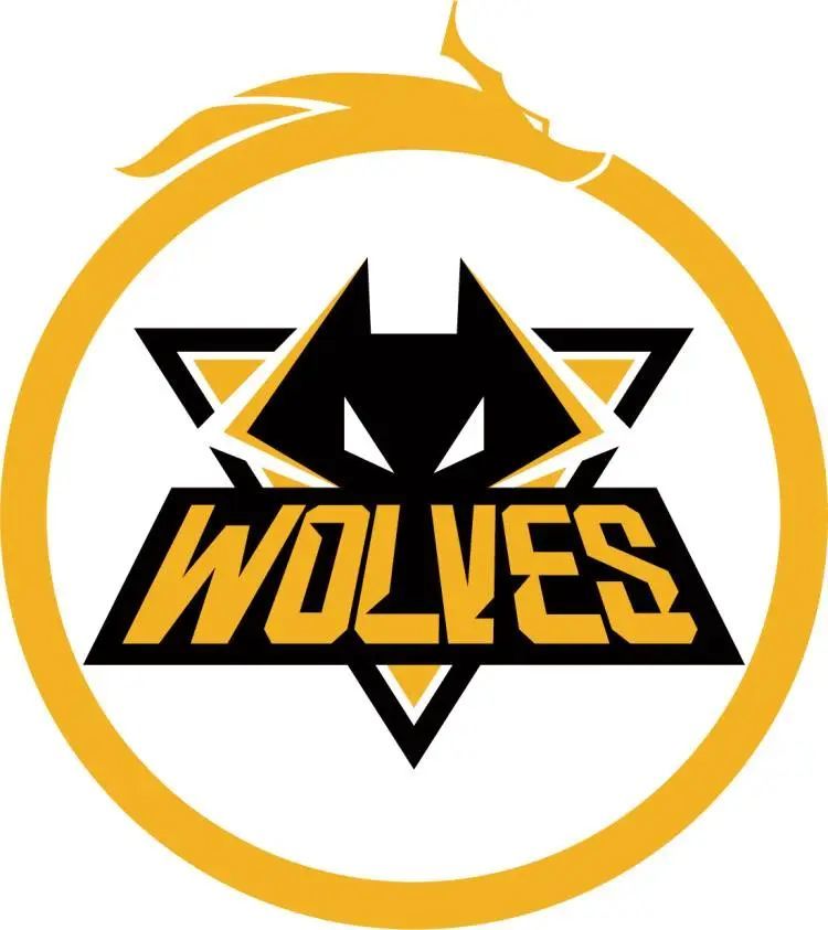 IEM Dallas 2025小组赛前十名最佳选手